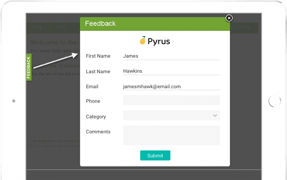 Example of Pyrus web forms embedded on a website