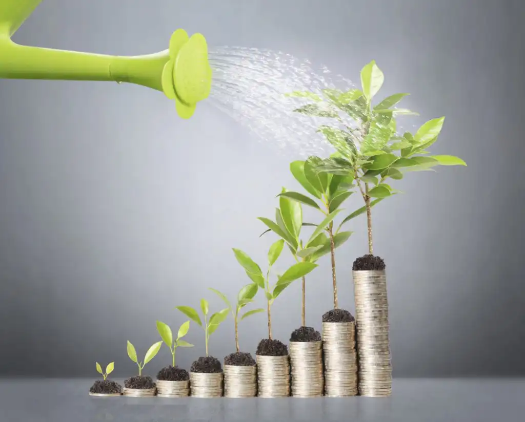 Business Growth