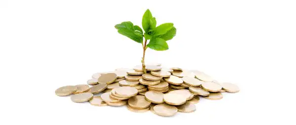 Business Growth