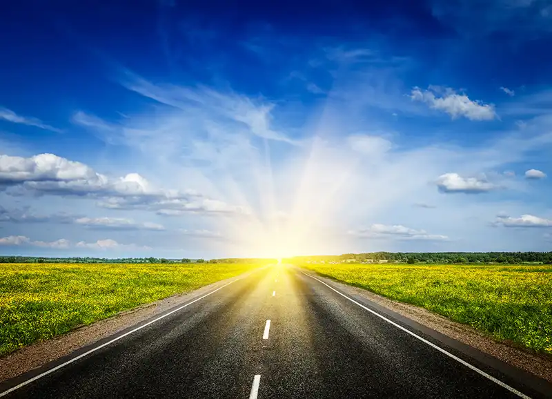 Travel concept background - road in blooming spring meadow on su